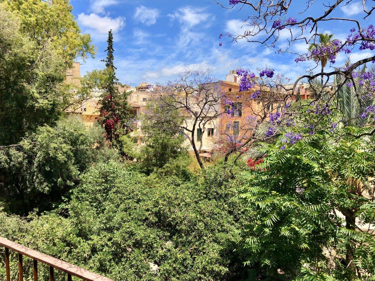 Exclusive Sneak Peek: Can Bordoy Grand House & Garden, Palma de Mallorca