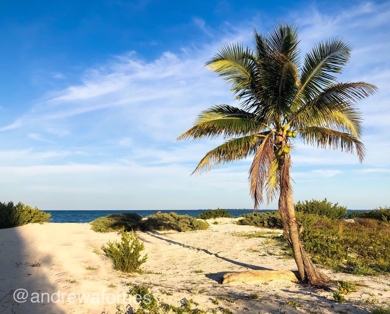 ?Infinite Indulgence? on the Mexican Caribbean, at the TRS Coral Hotel, Costa Mujeres