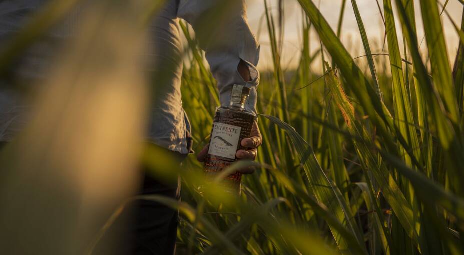 Moët Hennessy rolls out Eminente rum brand - Drinks International