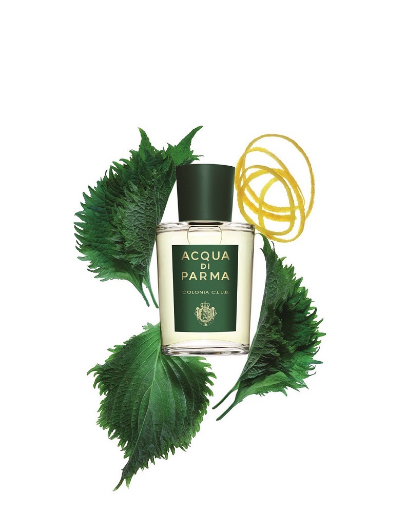 December Cologne of the Month: Acqua di Parma Colonia Club - Scentbird Blog