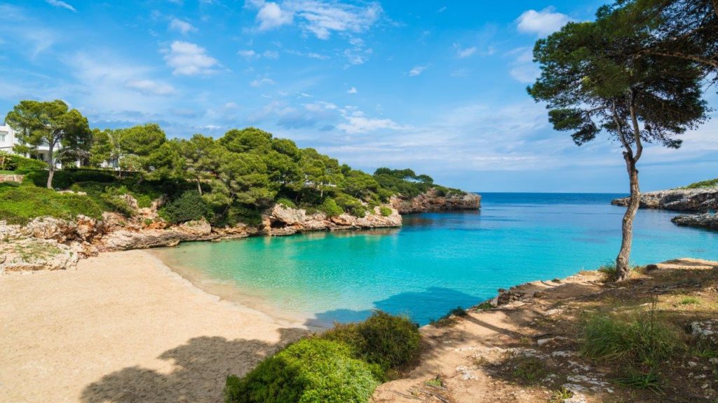 Cala Dor bay at Cala dOr city Mallorca Island Spain 1