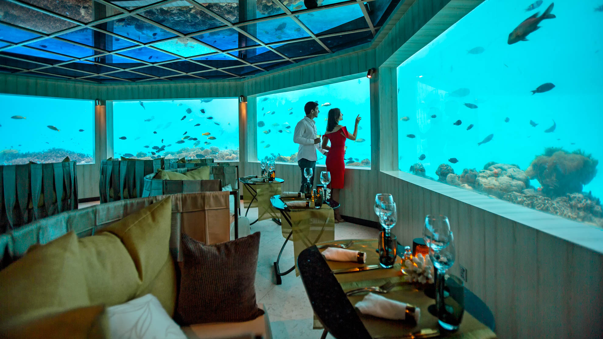 Immerse Your self within the Extraordinary within the M6M Underwater Restaurant at Ozen Life Maadhoo –