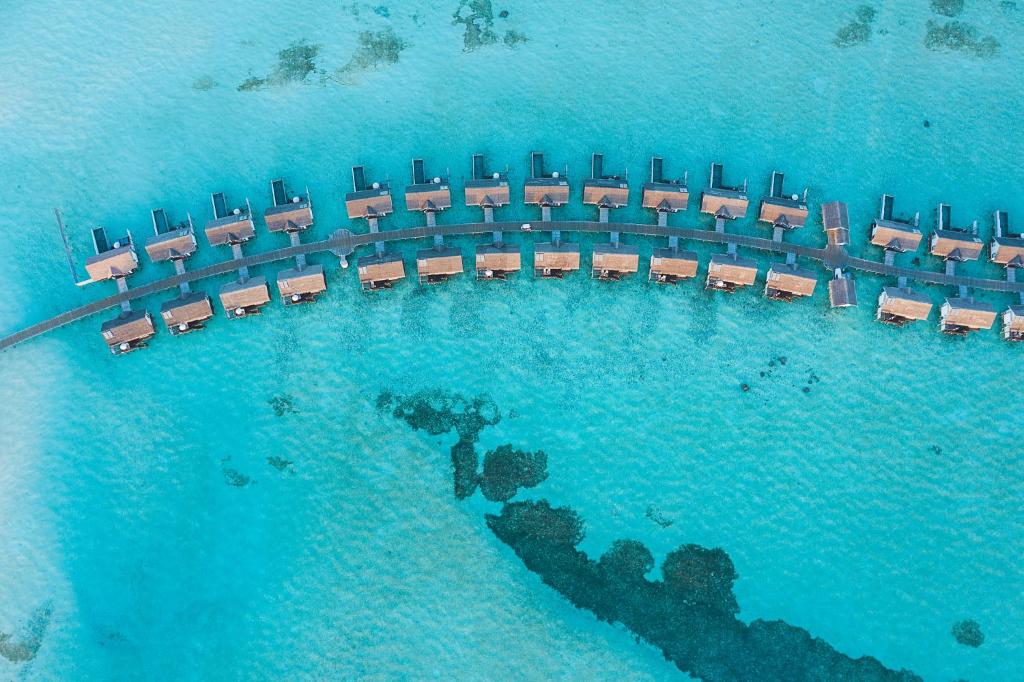 Ozen Life Maadhoo – Embracing the Elements of Luxury & Paradise in the Maldives