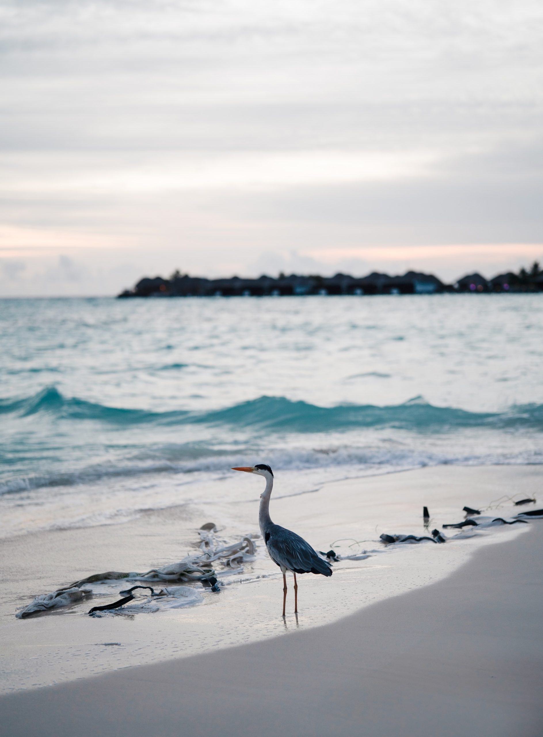 W Maldives – Evaluate – The Luxurious Editor