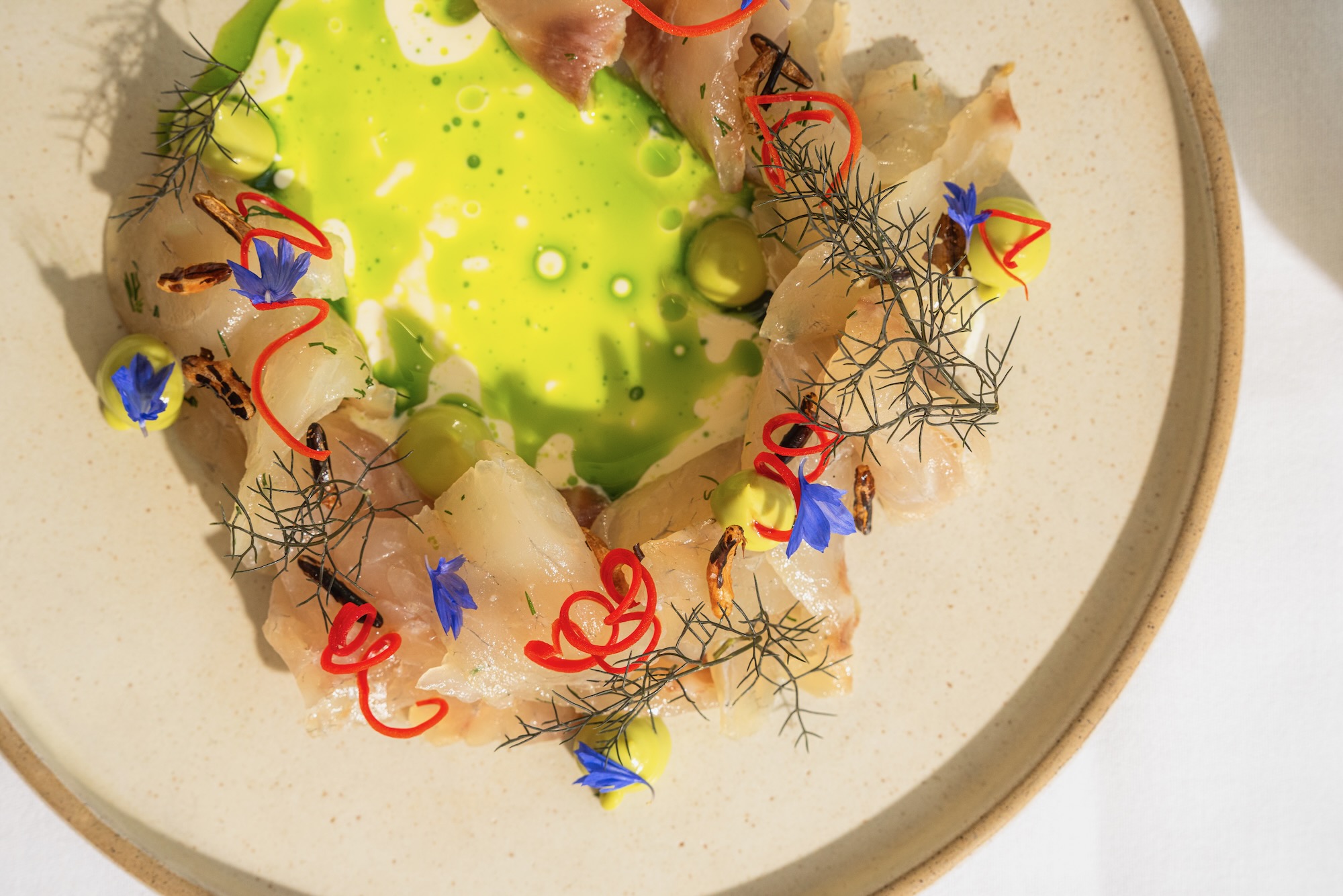 Orion by Alex Webb – Assessment Orion by Alex Webb – Assessment