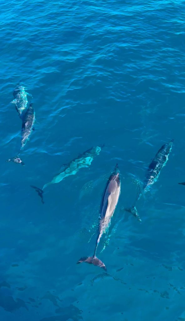 Kauaʻi Travel Itinerary