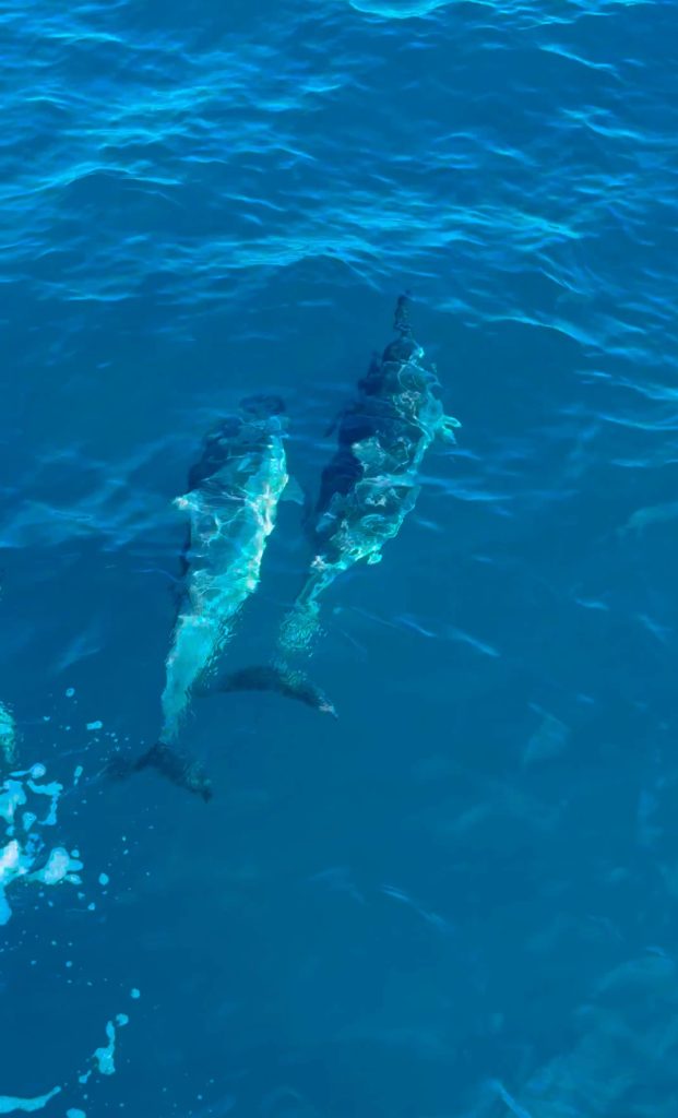 Kauaʻi Travel Itinerary